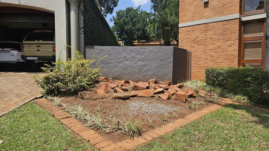 Layered Highveld lawn and shade trees