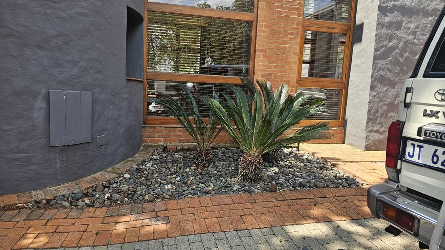 Canopy and understorey planting